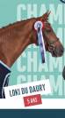Poney de sport 