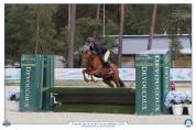 Poney de sport 