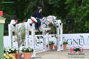 Pony Schoolmaster 