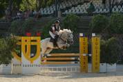 Pony Schoolmaster 