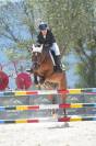 Pony D de salto espectacular.