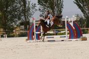 Pony D de salto espectacular.