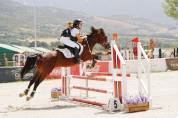Pony D de salto espectacular.