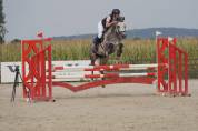Jument 8ans par casall