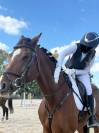 Vendo splendido Cavallo  