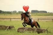Poney de sport 