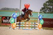 Poney de sport 