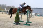 &Agrave; VENDRE &ndash; Poney sport CSO - 10 ans