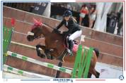 &Agrave; VENDRE &ndash; Poney sport CSO - 10 ans
