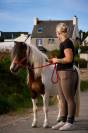 Poney type shetland 