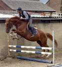 Jolie jument 4 ans, +-1m67, Origine Conthargos