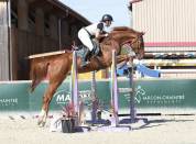 Cheval 5 ans holsteiner