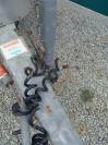 Trailer Ifor Williams HB401R 1,5 Cavalli 2003 Occasione