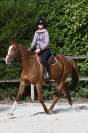 Jument 3 ans selle fran&ccedil;ais 
