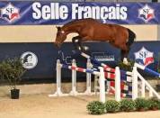 Pouliche supers origines sport