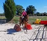  Ponette D 3 ans 145 cce cso trec endurance