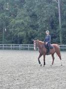 ⭐ Hongre OC 13 ans &ndash; 1,68 m &ndash; Exp&eacute;rience Amateur 3 &ndash; Ch