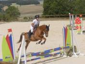 Hongre 12 ans