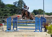 A vendre Jument 8 ans par LAUTERBACH/IDEAL DE LA LOGE