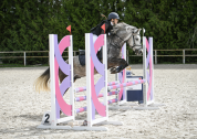 Poney de sport &agrave; prendre en demi-pension