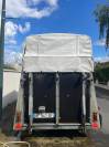 Van westfalia 2 places 