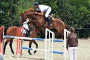 PONEY ENTIER 3ANS GOLDWIN D'EMBETS x FOLAMOUR DU BOIS