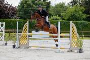 hongre de 9 ans baie  1m68