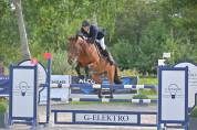 Super brave merrie voor ambitieuze ruiter