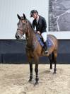 14y gelding by Diamant de Semilly 
