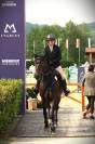 14y gelding by Diamant de Semilly 