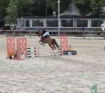 Jument 6 ans - pr&ecirc;te CSO amat 3 potentiel ++