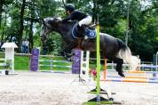 Merrie Franse rijpony PFS Te koop 2018 Schimmel ,  Juke Box du Buhot, PFS