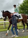 Vend cheval de 7 ans, hors du commun