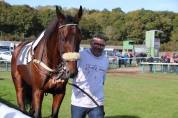 Vend cheval de 7 ans, hors du commun