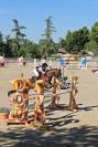 PFS Hongre 9 ans - P Elite As2