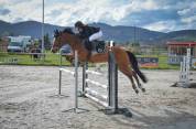 PFS Hongre 9 ans - P Elite As2