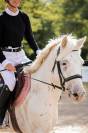 Poney 4 ans 