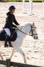 Poney 4 ans 