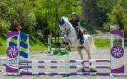 Cheval polyvalent 