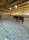 Pension chevaux 