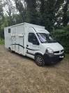 Camion chevaux Renault master 