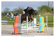 Top cheval d'amateur ( QUANTUM x ECHO DES F