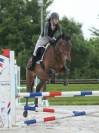 Jeune cheval d'avenir