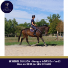 AQPS 5 ans beau mod&egrave;le 