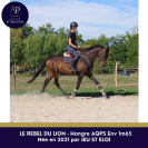 AQPS 5 ans beau mod&egrave;le 