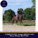 AQPS 5 ans beau mod&egrave;le 