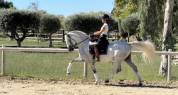 Cheval Dress&eacute;