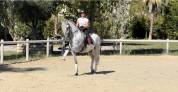 Cheval Dress&eacute;