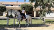 Cheval Dress&eacute;