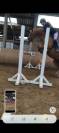 Magnifique Poney de sport 
